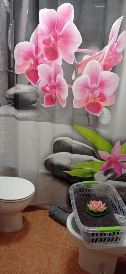 Avenida El Puente, 26 Apartment Санта Круз де Ла Палма Екстериор снимка